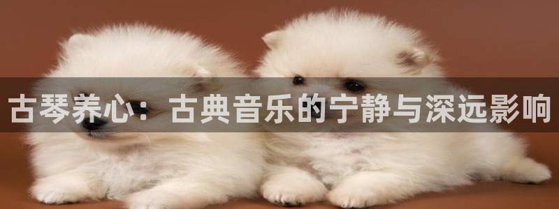 k8凯发国际首页:古琴养心:古典音乐的宁静与深远影响