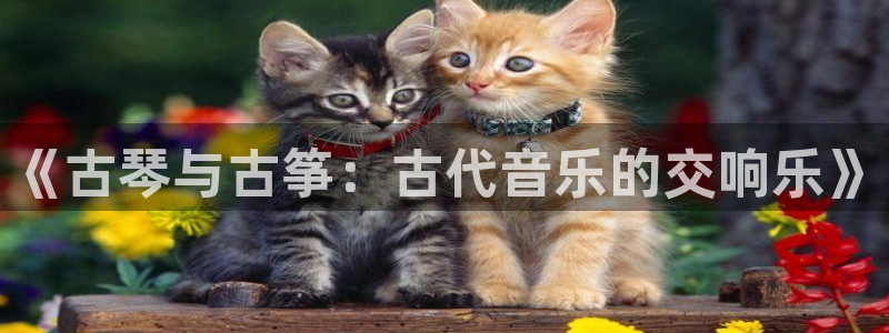 凯发k873:《古琴与古筝:古代音乐的交响乐》