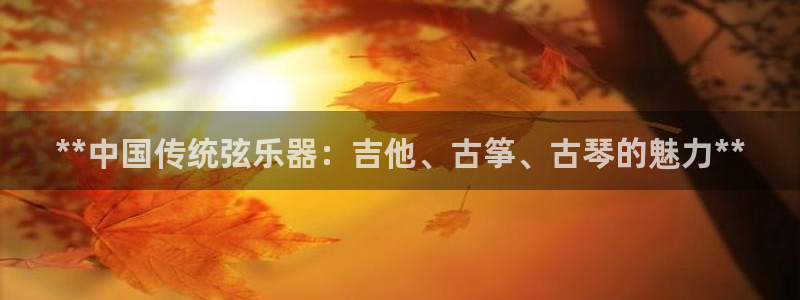 凯发k8国际真人版可靠送38元:**中国传统弦乐器:吉他、古