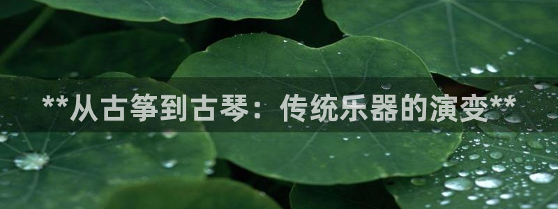 凯发官网登录免费下载:**从古筝到古琴:传统乐器的演变**