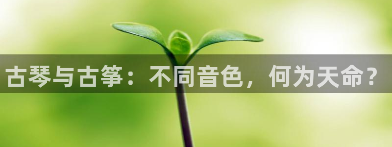 凯发k8官方:古琴与古筝:不同音色,何为天命?