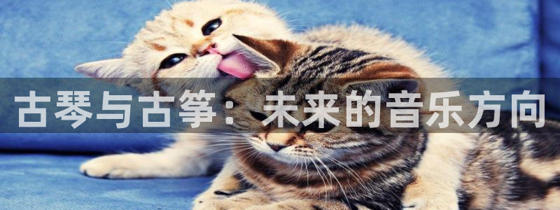 凯发一触即发:古琴与古筝:未来的音乐方向