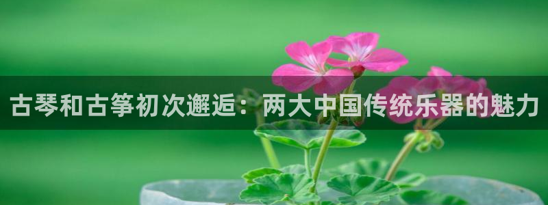 凯发国际是什么:古琴和古筝初次邂逅:两大中国传统乐器的魅力