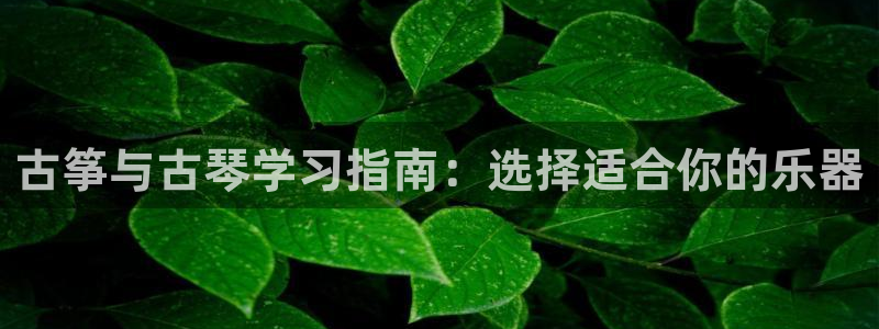 凯发k8娱乐旗舰:古筝与古琴学习指南:选择适合你的乐器
